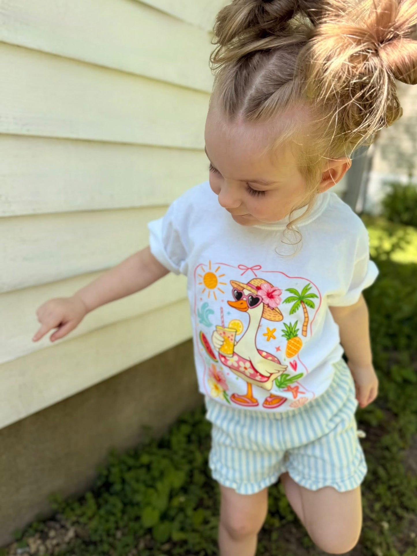 Summer Goose