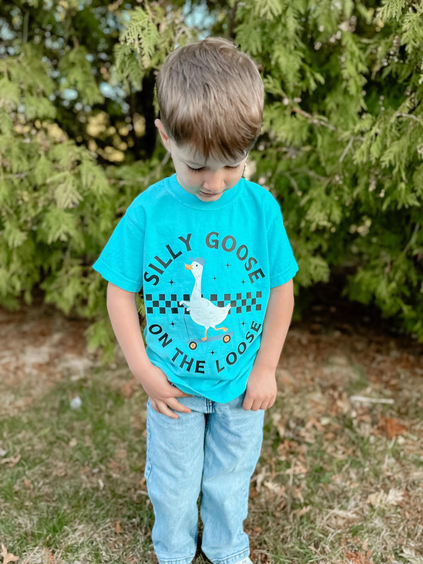 Silly Goose on the Loose (boy)