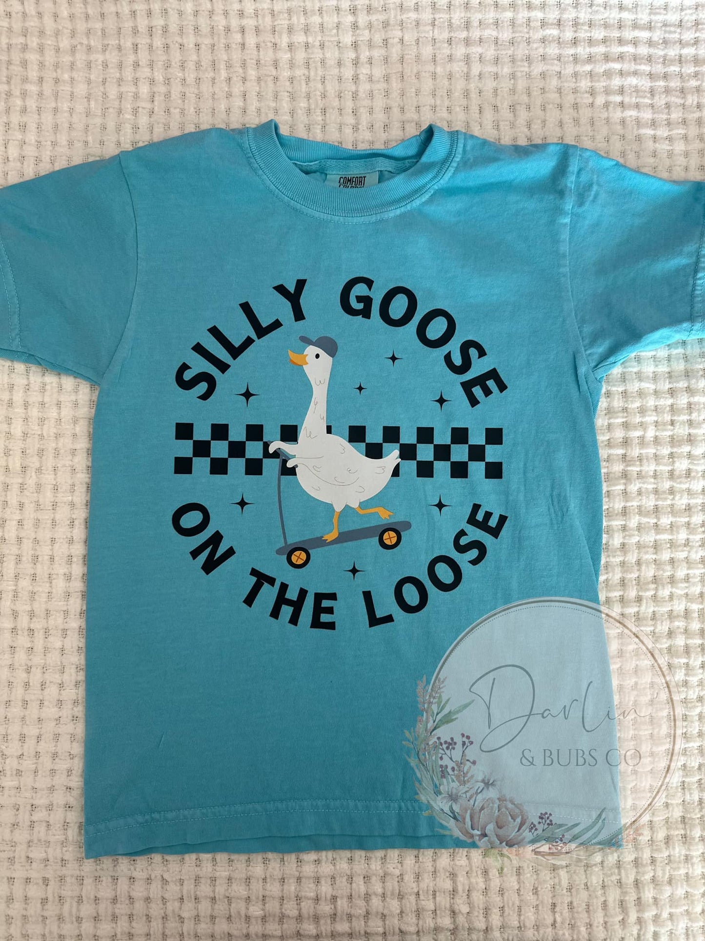 Silly Goose on the Loose (boy)